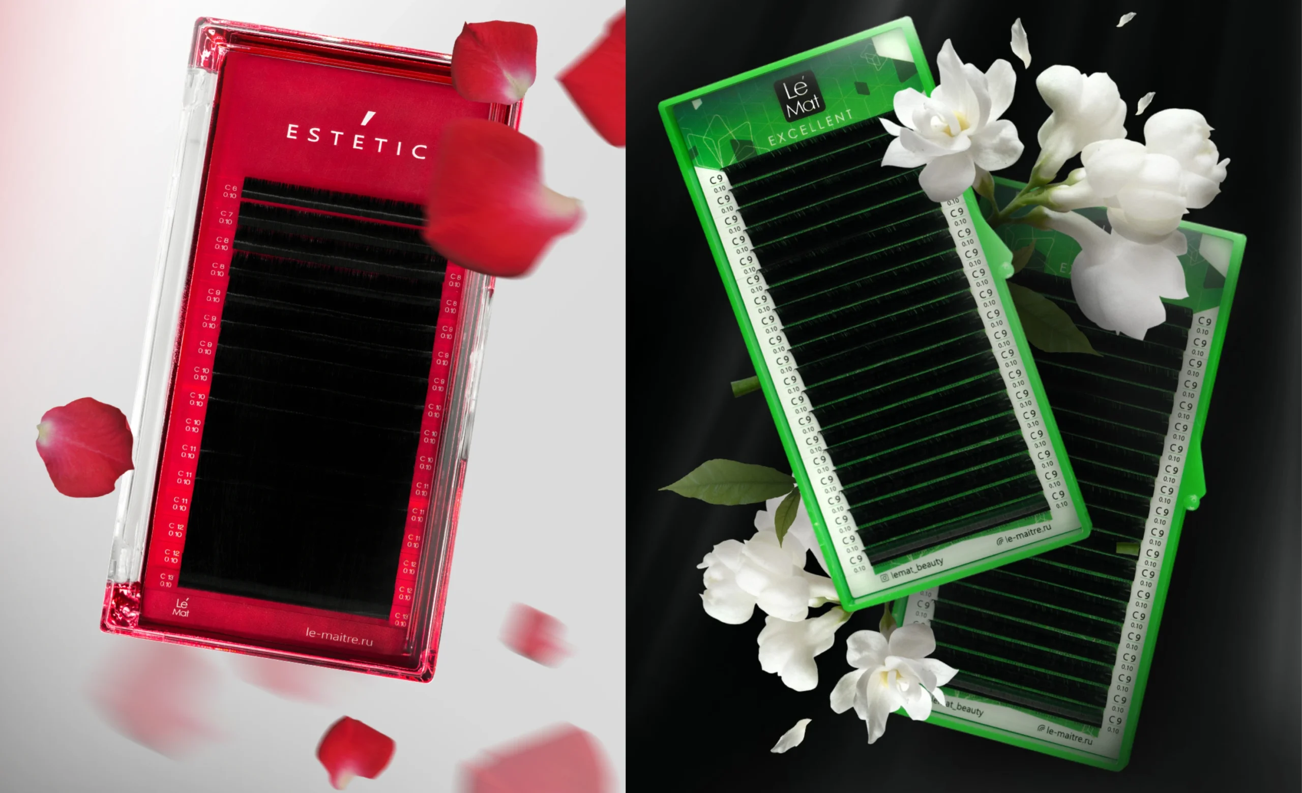 Estetic rosé petals on white background vs Excellent jasmine flowers black background